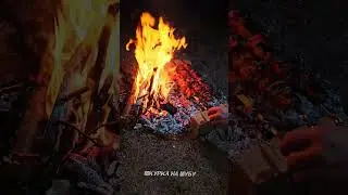 Мини влог с нашей рыбалки 🎣  #природа #приколы #рыбалка #рыбалканапруду