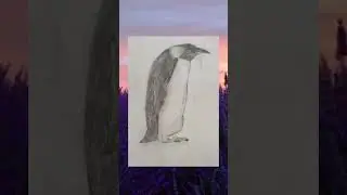 my old drawings part 4 #pencilart #drawing #realisticanimal #hyperrealstic #pencils #pencilshading