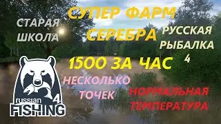 СУПЕР ФАРМ СЕРЕБРА на МЕДНОМ! 1500+ за ЧАС! НЕСКОЛЬКО ТОЧЕК! Русская Рыбалка 4 / РР4 / СтараяШкола