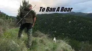 To Bag a Boar. New Zealand Pig Hunting~Clay Tall Stories