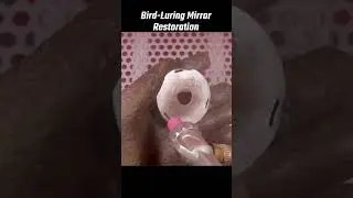 Restoring an Old Bird-Luring Mirror ✨