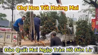 Đào Quất Mai Xuống Phố Ngập Tràn Chợ Hoa Tết Đền Lừ