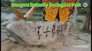 Bongmu Butterfly Ecological Park