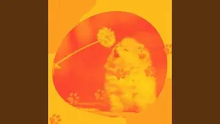 Lonely Calming Your Dog