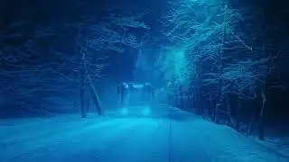 trapeia - pulse
