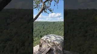 Bucks Pocket State Park in Alabama #alabamathebeautiful #mountainlakes #bluffviews #alabamastatepark