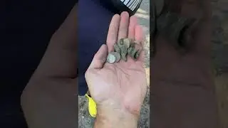 KAMRAD IS NOT HAPPY WITH MY FINDS! BIG ANTHONY! #live #fishermandigger #metaldetecting