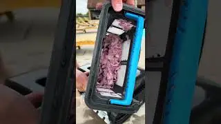 Beatbot AquaSense 2 Cordless Robotic Pool Vacuum Cleaner, Smart Surface Parking, Double-Pass Waterli