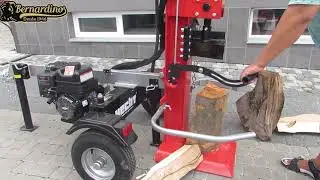 Rachador de lenha a gasolina Briggs & Stratton de 22 Toneladas