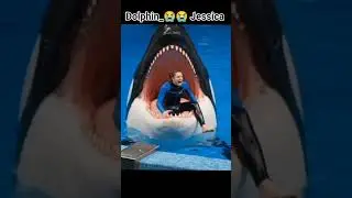#part2😭#dolphin#jessica #death #shortsvideo #viralvideo #youtube