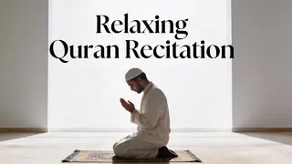 Beautiful Quran Recitation for Deep Sleep, Peace & Healing