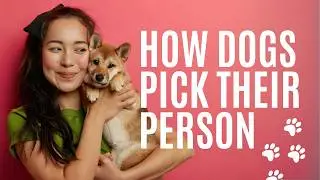 How Dogs Choose Their Favorite Person (AND HOW TO BECOME THE ONE!)