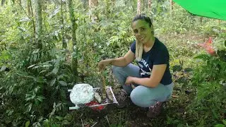 CAMPING In Rain - roasting Fish in the rain  ASMR