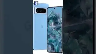 Google Pixel 9 Pro Design LEAKED!