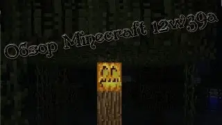 Обзор MineCraft 12w39a с mag'ом
