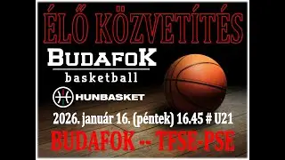 BUDAFOK &ndash; TFSE-PSE # U21-es m&eacute;rkőz&eacute;s