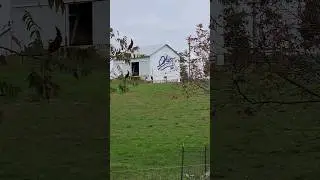 Ohio Bicentennial Barn Greene County OH #Ohio #barn #farm
