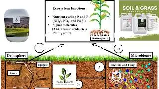 Improving Soil Fertility