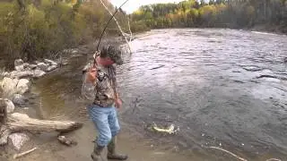 Falleyes On The Jackfish