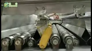 Small fresh green sweet corn husking machine maize husker shucking machine