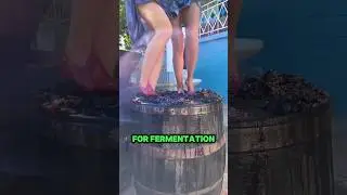 Процесс изготовления грузинского вина