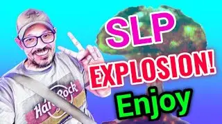 SLP Explosion! || Smooth love potion Price Prediction & News Today! SLP Today News
