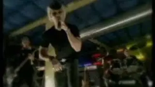 Rocketpop Do You Love Me