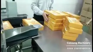 Automatic packaging cartoner,cartoning machine for customized boxes