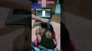 HOW TO CALM BABY MONKEY || BAYI MONYET YANG ANTENG NONTON YOUTBE #shorts #blackpink