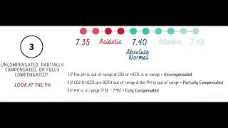 📌 ABG Interpretation in 4 Minutes | Fastest Method for Exams & Clinical Practice