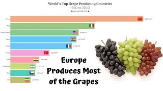World's Largest Grape Producing Countries (1960 - 2020) | China | Italy | USA