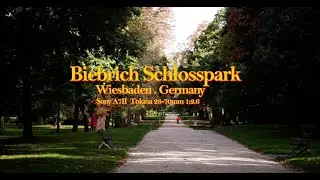 Biebrich Schlosspark, Biebrich, Wiesbaden. Germany. #sonya7ll #autumn #tokinalens #biebrich