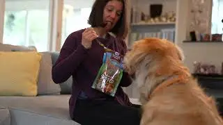 Pet Product Video Production | Harvest Moon Chews Marketing Video