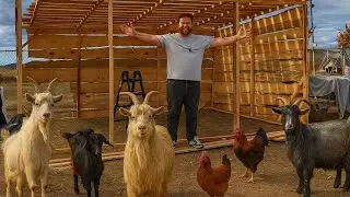 СТРОИМ ЛУЧШИЙ Хлев для Наших Коз! (Ультимативный DIY Проект)