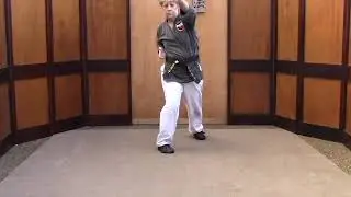 Tracy Kenpo Karate Form Long 2