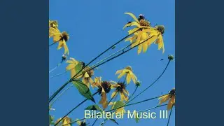 Compliability (Bilateral)