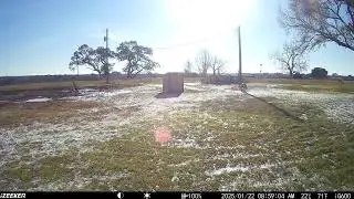 Rare snow on the ground in Weimar, TX. ( iZeeker iG600 Trail Camera)