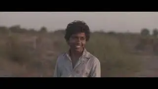Video Essay lion