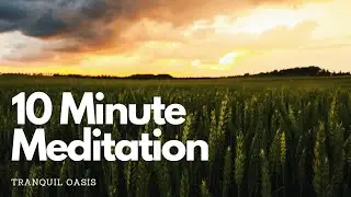 Calm Music - Tranquil Oasis: 10-Minute Serenity