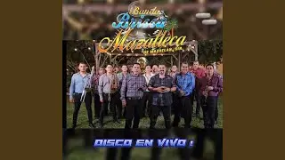 El novillo despuntado y el toro viejo