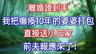 離婚證到手 我把癱瘓10年的婆婆打包 直接送小三家 前夫報愿來了!#情感故事 #生活經驗  #為人處世  #老年生活#故事