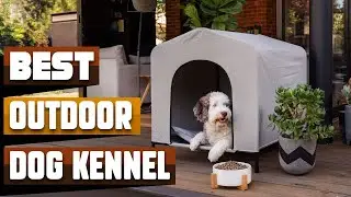 Best Outdoor Dog Kennel In 2025 - Top 10 Outdoor Dog Kennels Review