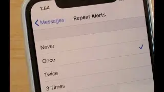 iPhone 11 Pro: How to Turn On Messages Repeat Notification Alerts