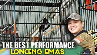 Begini aksi FULL POWER kacer LONCENG EMAS yang bikin hebohhh !!!
