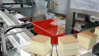Wanli group sponge cake production line