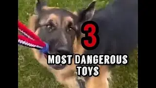 German Shepherd Warning: 3 Toys That Could Harm Your Dog!