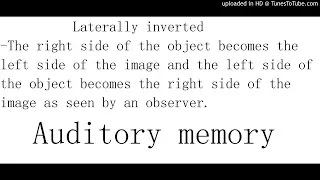Laterally inverted definition for SPM students (Auditory memory)
