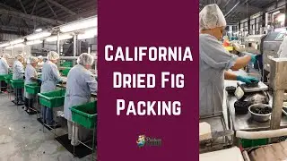 How Dried Figs are Packed in California