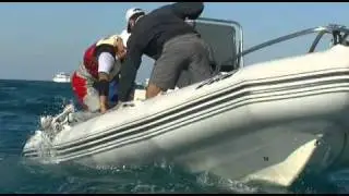 t2ptv's Oracle RC44 Cup Miami rough cut.mov