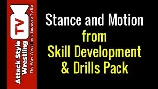 Wrestling Stance and Motion